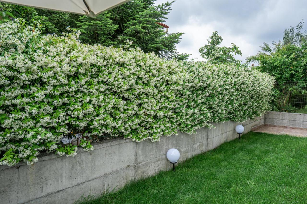 Veria Panorama Luxury Suite With Garden 2 Dış mekan fotoğraf